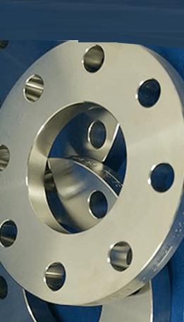 SMO 254 Ring Type Joint Flanges